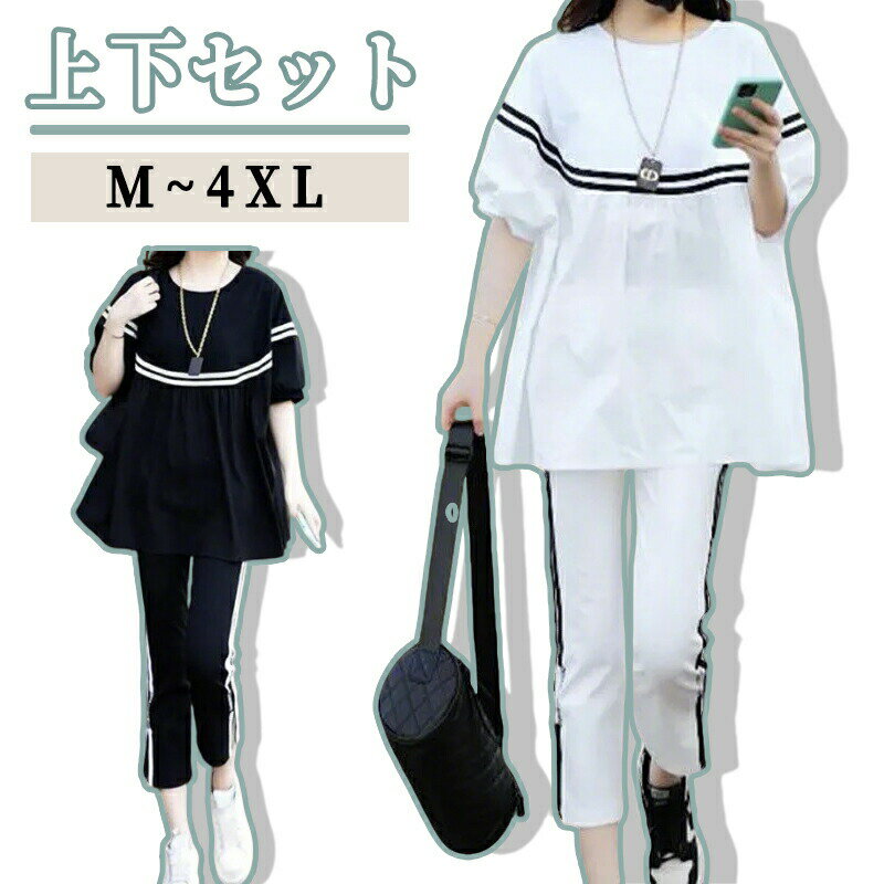 ��ǥ��������㡼�� ���åȥ��å� �������å� �롼�०���� ������ �� �岼���å� Ⱦµ �֥�å� �ۥ磻�� ��ä��� ���祮�� �襬 �礭�������� ��ǥ���...