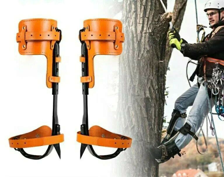木登り道具 登山用の靴 庭木 木登り器 極登山スパイク 果物選ぶ 多目的 304ステン...