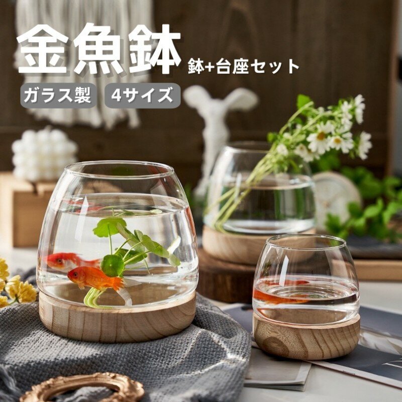 Rakuten - 金魚鉢 花瓶 睡蓮鉢 ガラス製 天然木ベース付き 丸型 水槽 メダカ鉢 透明 クリア 多機能 観葉植物 コケリウム 苔テラリウム 金魚 メダカ ミニ水槽 ガラス金魚鉢 金魚水槽