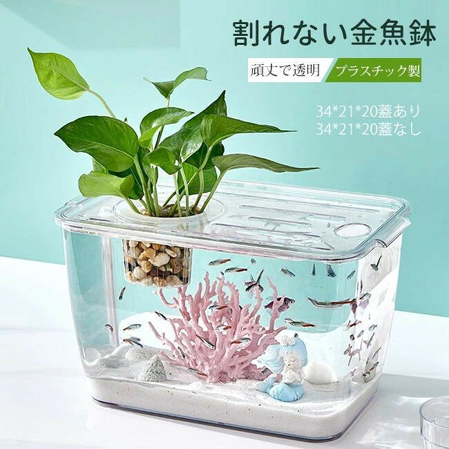 プレゼント 金魚鉢 メダカ 透明 プラスチック製 水槽 花瓶 アクアリウム ボトルアクアリウム バブルボウル ボトルテラリウム 苔テラリウム コケリウム 初心者向け