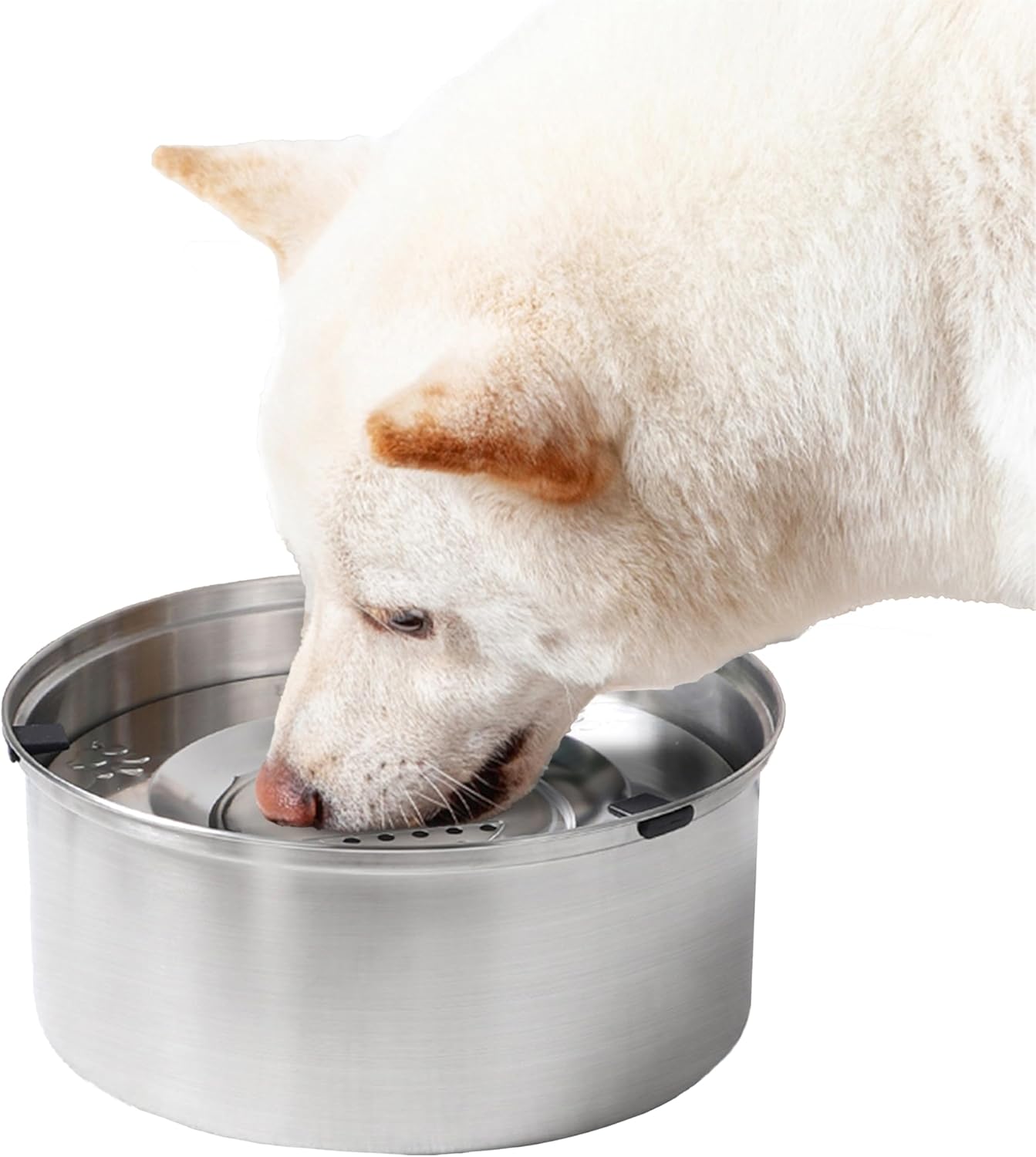 犬用水飲み器 大容量1L こぼれ防止 溢れ防止 カビ防止 ステンレス製 洗いやすい 清潔 ペット給水器 猫給水器 犬給水器 ペットウォーターボウル