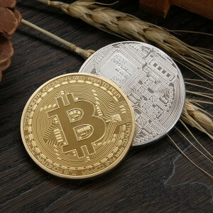 2枚セット　ビットコイン　シルバー　ゴールド　仮想通貨　プラスチックケース付き　メダル