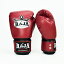RAJA グローブ キックボクシング ボクシング 総合格闘技 テコンドー 空手 トレーニング 部屋着..