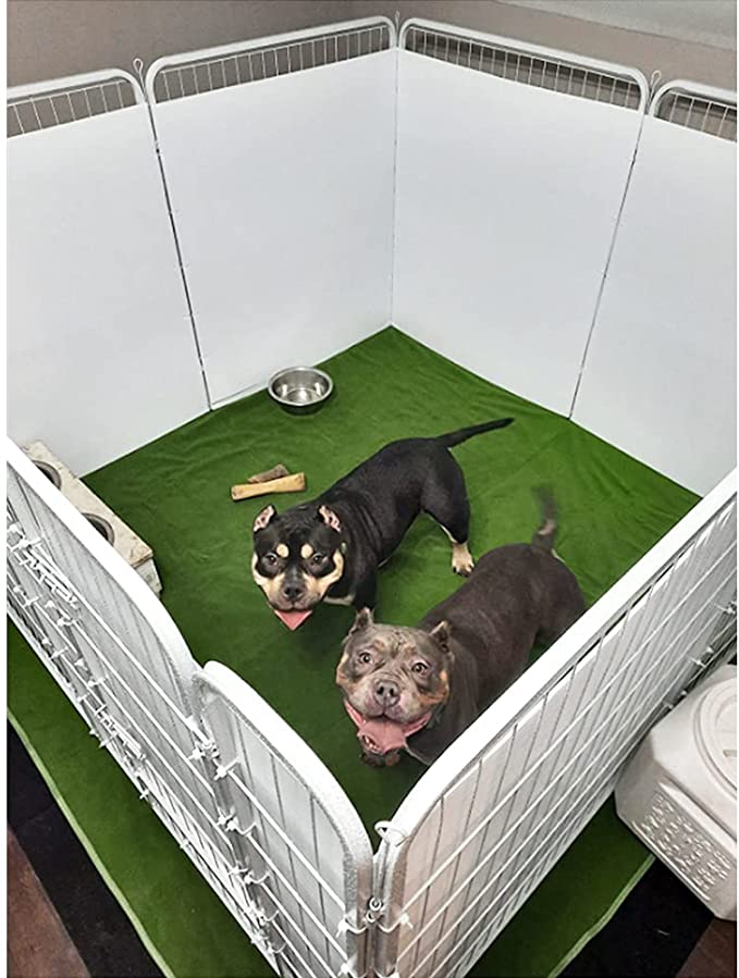 �� ǭ��������ڥåȥ����� �����ä��ѥå� �ڥå��� ���ߤ� �ޥå� ®�� ���ߤ�ù� ������ �������Ǵ����� �����֤����Ѳ�ǽ�ʥ��꡼��165x122cm��