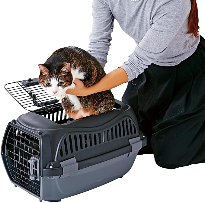 �ڥƥ��� (Petio) 2�ɥ� ���ޥ��륭��꡼ �֥�å� �ڥå��� S ������