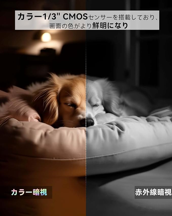 2�楻�åȡ��ե륫�顼�Ż롦300�����ǡۥڥåȥ���� ����ꥫ��� ���ȥ���� ���� �ۡ��५��� blurams ��ư���� ����/�������/�⡼������� PTZ�󿶤� �������� ���������� ������ iPhone/Android�б� �ڥå�/�٥ӡ�/����Ը���� ����ɥ�/����/Ź �٥ӡ���˥���