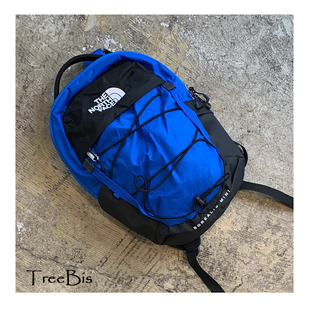 THE NORTH FACE ノースフェイス 52SW BOREALIS MINI BACKPACK リュック バックパック ブランド ストリート レディース メンズ キッズ ブルー ロゴ