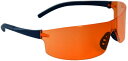 [Stein] ORBIT Safety Glasses セーフティー グラス メガネ アイウェア 安全 チェーンソー ツリーケア アーボリスト ツリークライミング (スモーク)