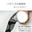 ポイント5倍【送料無料・日本製】アーチサポートMagic Insole|抗菌・消臭・静電気対策|ジム・スポーツ・日常使いに最適な男女兼用中敷き