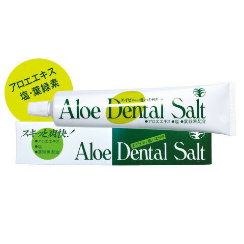 フッ素なし 歯磨き粉(2個) スキッと爽快 【日本製】アロエ デンダルソルト Lサイズ(215g) 自然派健康歯磨き スキッと爽快 塩歯磨き 虫歯 口臭 aloe dental salt アロエ 塩 葉緑素 歯磨き粉 歯みがき粉 ハミガキ粉 はみがき 合成界面活性剤 無添加 ソルト