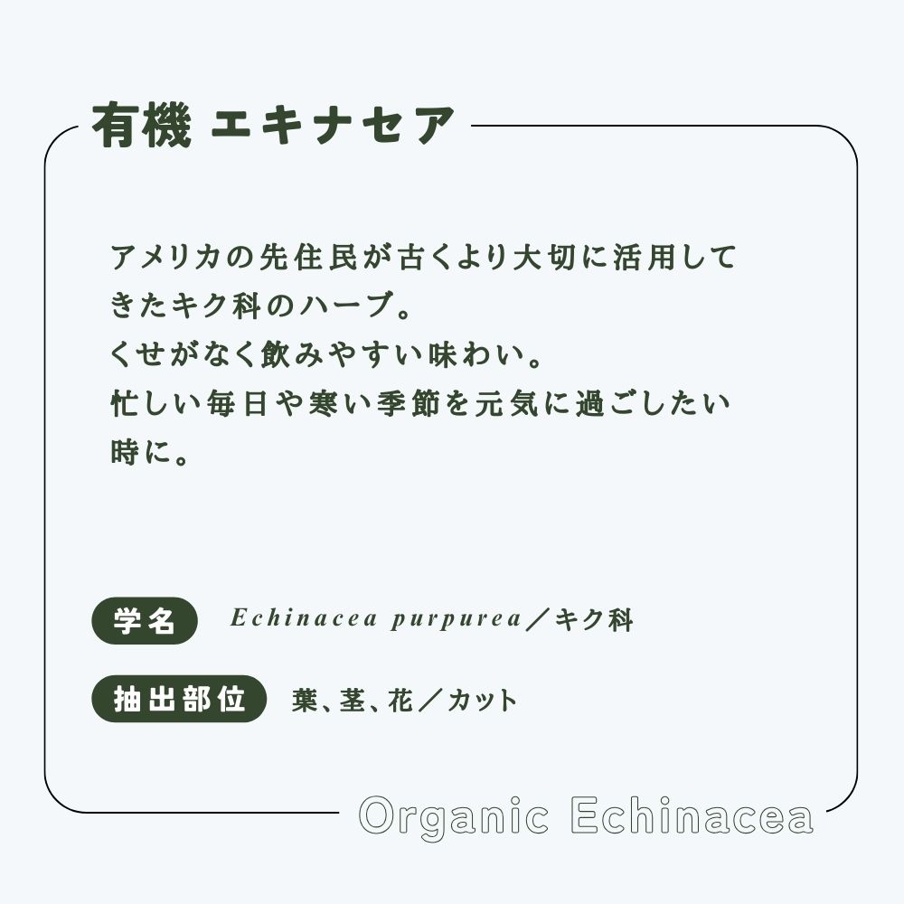【 生活の木 公式 】有機エキナセア 20g ...の紹介画像2