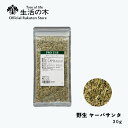 【 生活の木 公式 】野生ヤーバサンタ 30g | Yerba Santa イエルバ・サンタ マウンテンバーム ハーブ ハーブティー お茶 ホット アイス リー...