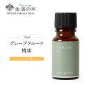    ۥ졼ץե롼 / Grapefruit 10ml |  ޥ  å󥷥륪 AEA...