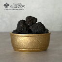 【 生活の木 公式 】銀雅堂 鋳銅 溶岩石楕円香器 (ちゅうどう ようがんせきだえんこうき) ゴールド | アロマディフューザー アロマストーン インテリア 雑...