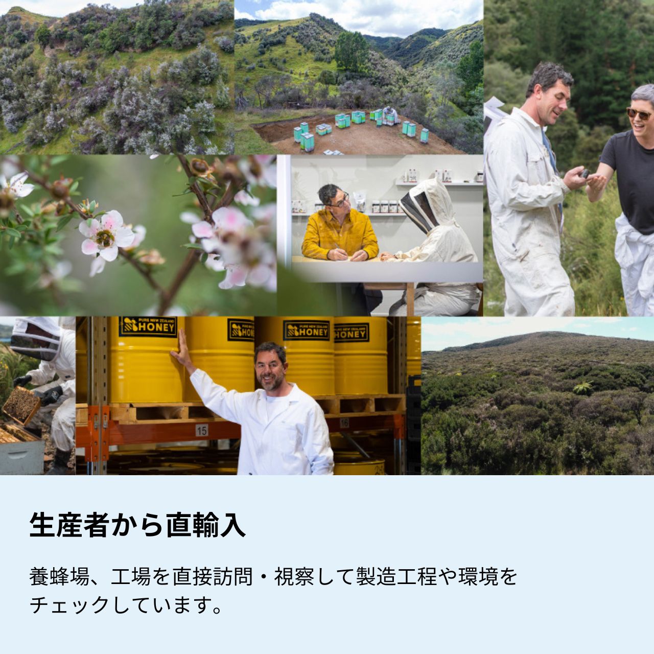 【 生活の木 公式 】マヌカハニー UMF7+（MG146+）250g / 500g ニュージーランド産 | UMF認証 正規品 蜂蜜 はちみつ おすすめ 冬 誕生日 プレゼント 3