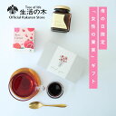 【お試し】ミント烏龍茶 ミント凍頂烏龍茶 ( 水出し冷茶ボトル / ティーポット用 750ml アイスティー用 ホットもOK！）ティーバッグ4.5g×12コ入り メール便 送料無料 買い回り