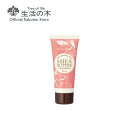 【 生活の木 公式 】シアバター ハンドクリーム ローズ 20g | シアバター25％ ダマスクローズ バラ 誕生日 プレゼント 女性 保湿成分配..