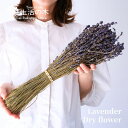【 生活の木 公式 】真正ラベンダー束 | True Lavender ラベンダー フラワー ドライフラワー 南仏 フランス フランス産 プロヴァンス ポプリ クラフト 香り インテリア アロマ アロマオイル 精油 エッセンシャルオイル 母の日 プレゼント ギフト