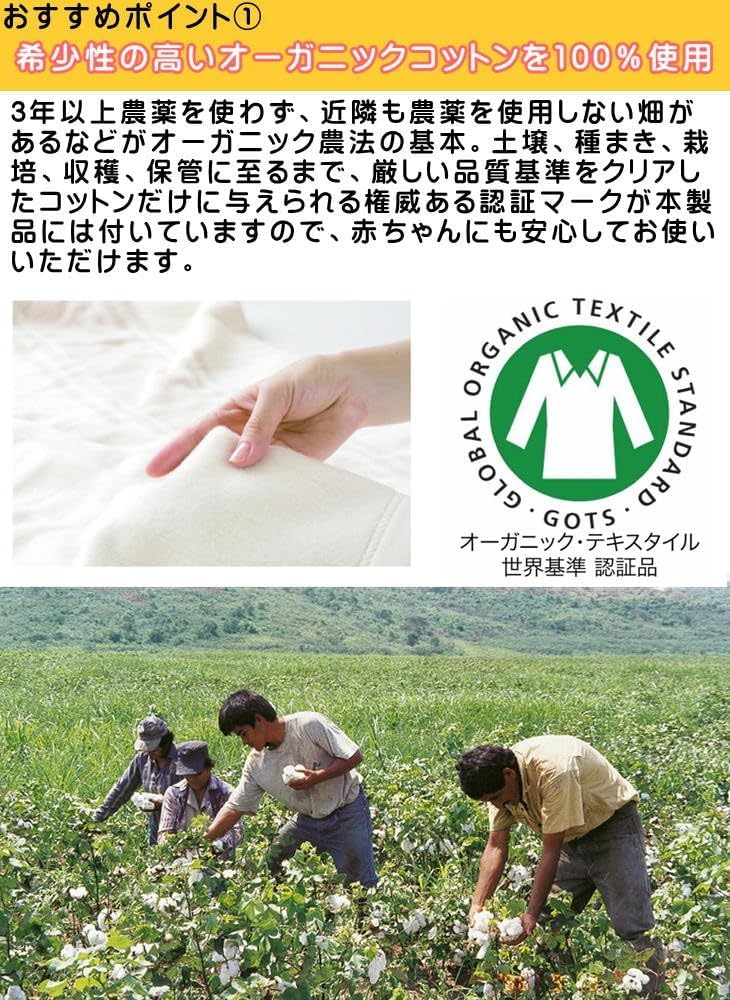 ���󥱥� �ż���99�󥫥å� �ŵ��ݤ��ߤ� �������˥å����åȥ����� ZB-OC102 ���åȥ�100�� �ŵ����� ��˼��� 1�硡����̵����zenken ���󥱥� �ż��ȥ��å� �������˥å����åȥ� ���� �֥�󥱥å� �ż����ɻߡ��ŵ����� ������ �����å���֥� ����� ���� ������