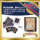 【期間限定特典・タカマノハラ】丸山修寛先生監修 電子水生成器 電吉バンバン 電子水,生成器,丸山修寛,エネルギー,クスリ絵,イヤシロチ,電磁波,効果,テクノロジ...