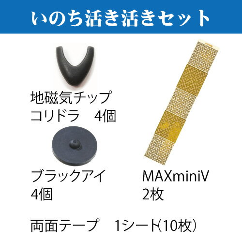 丸山修寛先生開発 いのち活き活きセット