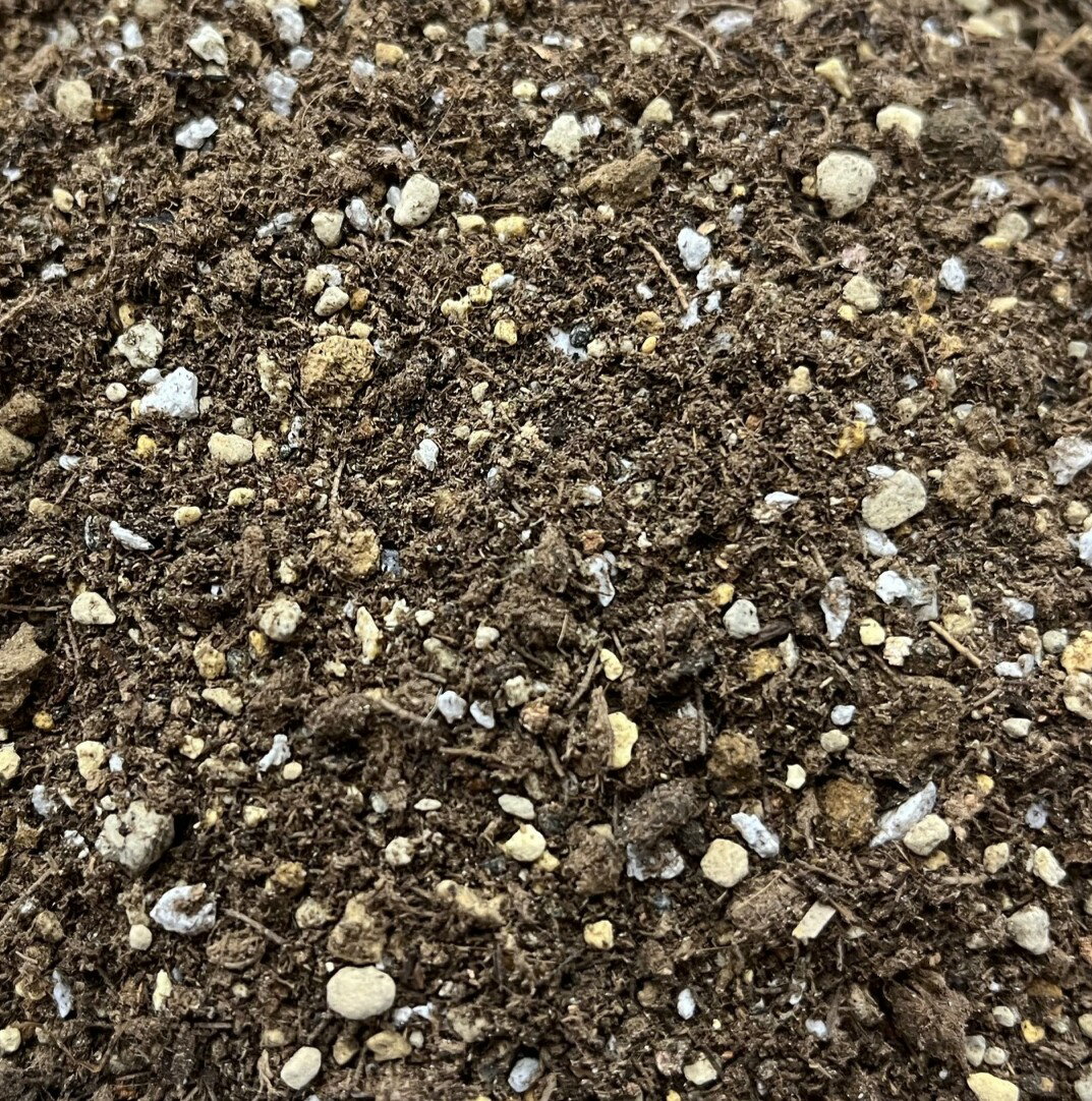 ���ܥƥ� ������ ¿����ʪ ���ܥƥ��Ѥ��� ¿����ʪ�Ѥ��� 2L���ꥸ�ʥ�֥��� �����ǥ˥� �����ڱ� ������� ���� ������ �����ߤΥץ�����ã �̼� ���� ����