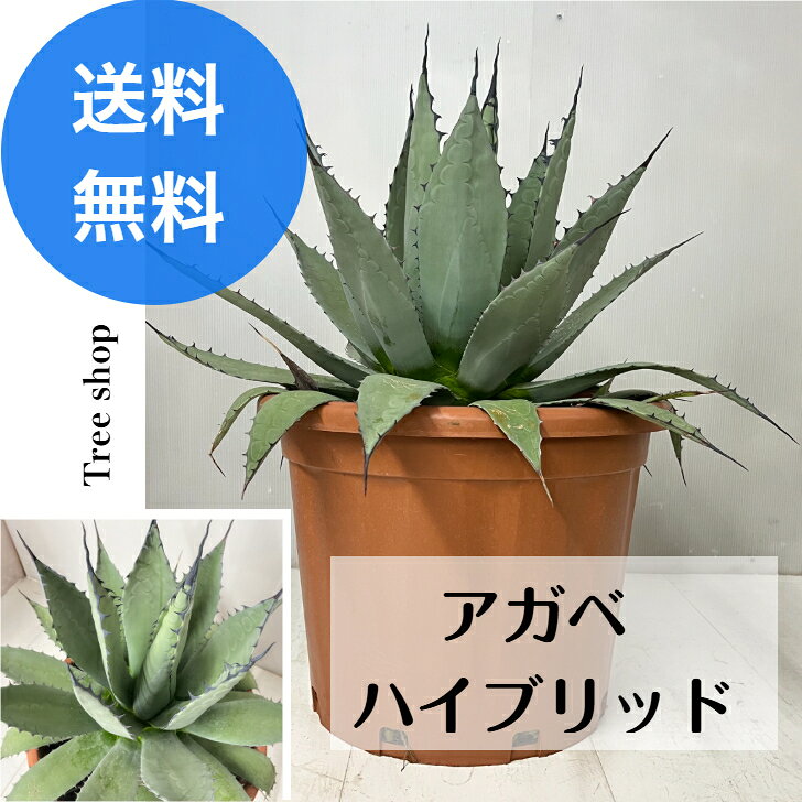 商品画像1