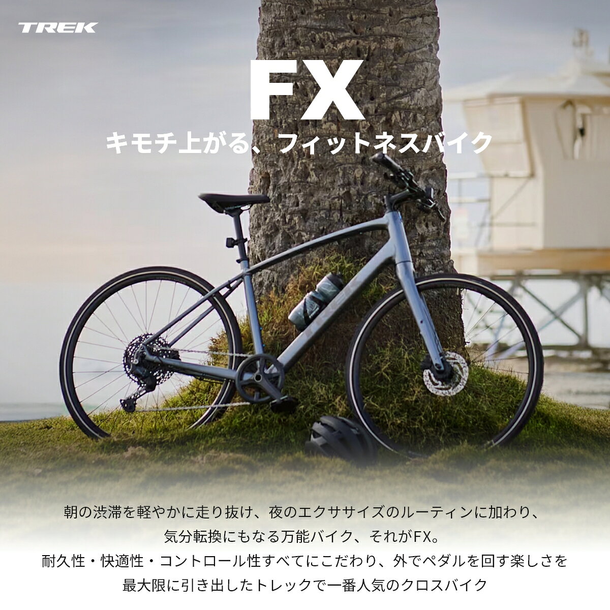 ������5��OFF�� �ȥ�å� TREK FX ��ž�� �������Х��� �̶��̳� ����� ��������� ������� �饤�� FX1 FX2 FX3 Gen4 AlphaGold����� �����ܥ� 9® 10® �ۥ����륵����700c��35mm �ܥ�ȥ쥬�� ���ޥ� 11kg~13kg �� �� ���졼 �� �� ����С� �ߥ�� XS S M L XL����