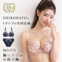 【10%OFF・4/30 09:59まで】【送料無料】 ブラジャー ショーツ セット キューティハート＆リボン通し BCDEF SHIROHATOとトリンプの共同企画 下着 レディース ブラ＆ショーツ ブラ ブラセット ブラショーツ 上下セット セットアップ セクシー 全7色 B65M-F75L ev_sp