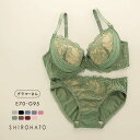 ソニアブラック SONIA BLACK シアーレース ブラジャー ショーツ セット 大きいサイズ レディース trelinge 全9色 E70-M-G95-4L