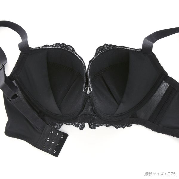 30％OFF ビーオーエヌ bon ローズレース カシュクール シリーズ 脇高 ブラジャー ショーツ セット GHI 大きいサイズ 脇すっきり 脇肉 レディース trelinge 全3色 G65-M-I85-LL