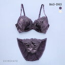 スパイシー ブラジャー ショーツ セット エレガントベロア SPICY レディース trelinge 全2色 B65-M-D85-LL