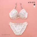 ピュアシェリ ブラジャー ショーツ セット 脇高 ラメチュール アンダーフリル PURECHERIE レディース trelinge 全2色 A70-M-D75-M