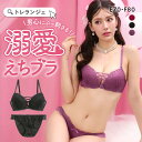 ラブジェリー ラシャスレースアップ ブラセット EF 盛り胸 谷間ブラ 脇寄せ Wパッド バストアップ ブラジャー ショーツ Love gerie レディース trelinge 全3色 E70-M-F80-L