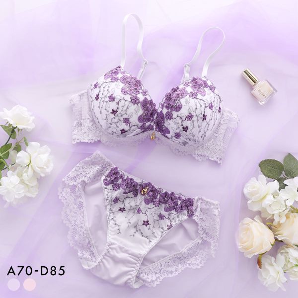 ���󥨥� �ƹ� �ե������ǥ� �֥饻�å� ABCD �����ɥ�ܥ󥷥硼�� ��ɳ ���� �Ϥ������ä��� �ƴ� ���� ���� �ݶ� SANEI ��ǥ����� tr...