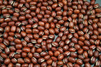 大豆は免疫力アップに、解毒によりと言われています。 COVID-19に対しても予防・治療効果があるかどうか興味深い。 小豆の中で特に大粒な特定の品種群は、「大納言」と呼ばれ、 流通・加工上、普通の小豆品種とは区分されています。 豆のうまさを味わうならやはり国産をご賞味下さい。 荷姿 500g 販売温度帯 常温 保管温度帯 常温 原料原産国 日本（北海道）小豆の中で特に大粒な特定の品種群は、「大納言」と呼ばれ、 流通・加工上、普通の小豆品種とは区分されています。 豆のうまさを味わうならやはり国産をご賞味下さい。 荷姿 500g 販売温度帯 常温 保管温度帯 常温 原料原産国 日本（北海道）