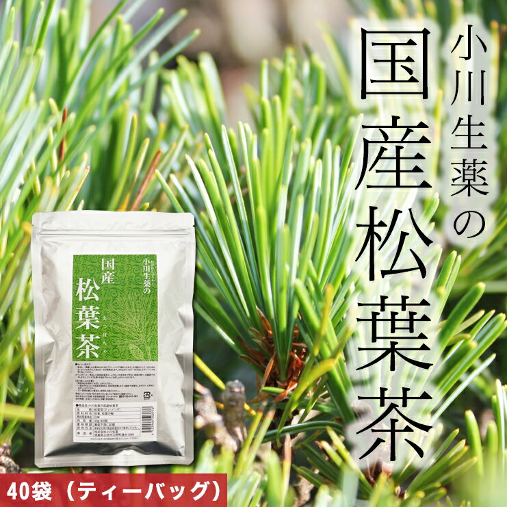 国産　松葉茶 （アカマツ）を使用したお茶です。 松葉茶40g(40袋入り)。プレゼントに喜ばれます。SOD+健康茶。原材料：松葉、松葉の軸（アカマツ）※自生のものを使用しています。原産地名：日本 天然物 無農薬。ギフトラッピング。健康茶。メール便（日時指定不可）。