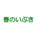 国産小麦の中でも蛋白量が多い強力系品種「春よ恋」を100％使用。 窯伸びが良く吸水も安定しています。豊かな風味を味わえます。 ※商品の性格上、常時在庫はございませんので、 発送まで1〜2週間程度お時間を頂く場合がございます。 荷姿 25kg 販売温度帯 常温 保管温度帯 常温 製造者 江別製粉株式会社 賞味期限 製造日より6ヶ月 出荷時賞味期限残保証日数 90日 原料原産国 日本（北海道） 製品製造国 日本（北海道江別市） 原材料 小麦 アレルギー物質 小麦 規格 灰分0.44／たん白12.5国産小麦の中でも蛋白量が多い強力系品種「春よ恋」を100％使用。 窯伸びが良く吸水も安定しています。豊かな風味を味わえます。 ※商品の性格上、常時在庫はございませんので、 発送まで1〜2週間程度お時間を頂く場合がございます。 荷姿 25kg 販売温度帯 常温 保管温度帯 常温 製造者 江別製粉株式会社 賞味期限 製造日より6ヶ月 出荷時賞味期限残保証日数 90日 原料原産国 日本（北海道） 製品製造国 日本（北海道江別市） 原材料 小麦 アレルギー物質 小麦 規格 灰分0.44／たん白12.5