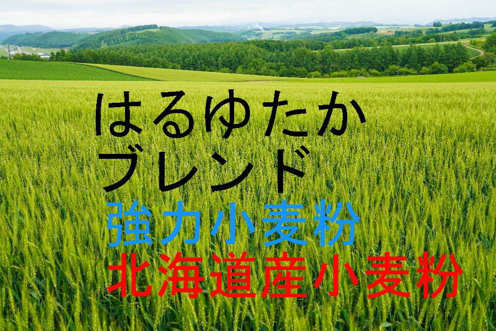 はるゆたか 3.0kg 2個 生産量が希少な ハルユタカ を使用し 数種類の北海道小麦をブレンドしたパン粉です ハルユタカ の甘み 香りを生かしたコストパフォーマンスの高い製品です ブランド 江別製粉100％ 加工なし 