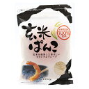 ムソー 桜井 玄米ぱんこ 100g ×10袋　農薬・化学肥料不使用国産米100％　小麦粉の代わりとしてさまざまな料理に。グルテンフリー。健康..