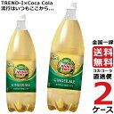 カナダドライ ジンジャーエール 1.5L PET ペットボトル 炭酸飲料 2ケース × 6本 合計 12本 送料無料 コカコーラ 社直送 最安挑戦