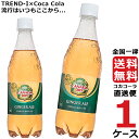 カナダドライジンジャーエール 500ml PET ペットボトル 炭酸飲料 1ケース × 24本 合計 24本 送料無料 コカコーラ 社直送 最安挑戦