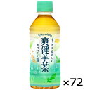 爽健美茶 300ml PET ペッ