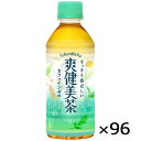 爽健美茶 300ml PET ペットボトル 4ケース × 24本 合計 96本 送料無料 コカコーラ 社直送 最安挑戦