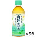 爽健美茶 300ml PET ペッ