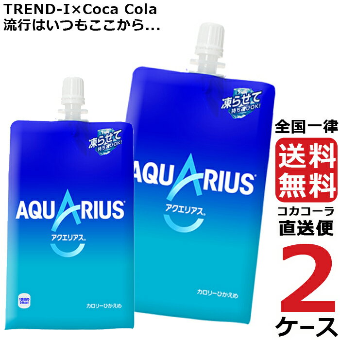 アクエリアス 300g ハンディーパック パウチ 2ケース × 30本 合計 60本 送料無料 コカコーラ 社直送 最安挑戦