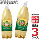 カナダドライ ジンジャーエール 1.5L PET ペットボトル 炭酸飲料 3ケース × 6本 合計 18本 送料無料 コカコーラ 社直送 最安挑戦