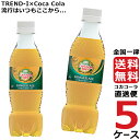 カナダドライ ジンジャーエール PET 350ml ペットボトル 5ケース × 24本 合計 120本 送料無料 コカコーラ 社直送 最安挑戦