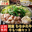 むなかた牛 塩 もつ鍋 セット 2人前×2袋入り 生産者直送 送料無料 ギフト 贈答品 お歳暮 すすき牧場 福岡 特産