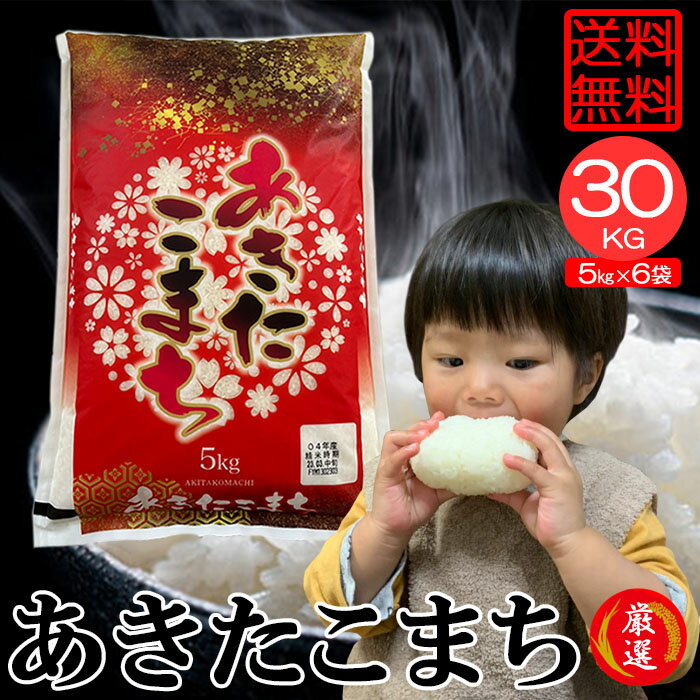 スーパーセール 米 お米 30 kg キロ あきたこまち 5kgx6袋 セット 茨城県産 送料無料 こめ 小分け 精米 つきたて米